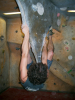 David Jennions (Pythonist) Climbing  Gallery: cimg5326.jpg