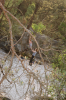 David Jennions (Pythonist) Climbing  Gallery: 99090026.JPG