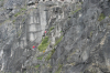 David Jennions (Pythonist) Climbing  Gallery: Bristol Apr 06 095.jpg