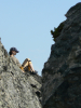 David Jennions (Pythonist) Climbing  Gallery: P1110919.JPG