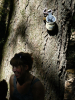 David Jennions (Pythonist) Climbing  Gallery: P1120590.JPG